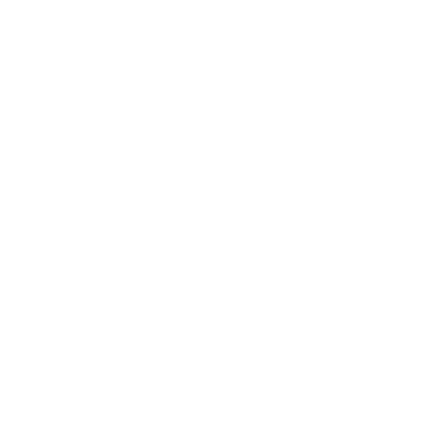 Misk Fellowship